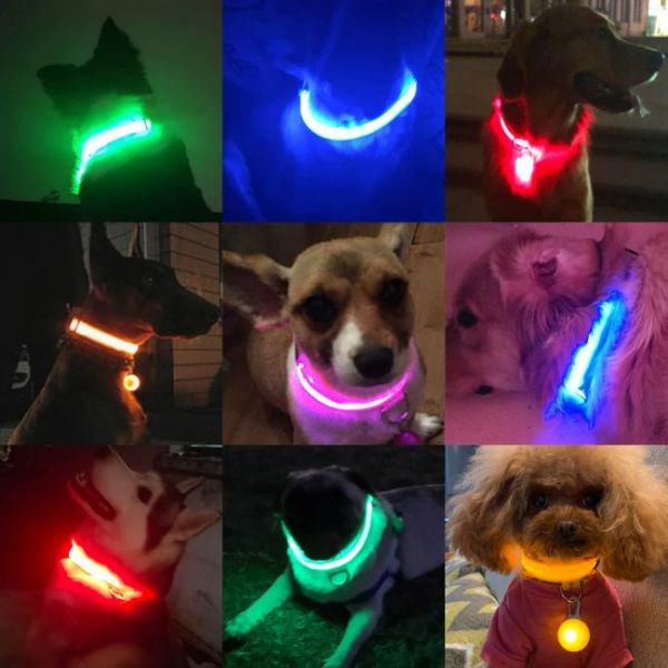 Collier de chien LED anti-perte chargé par USB en différentes couleurs