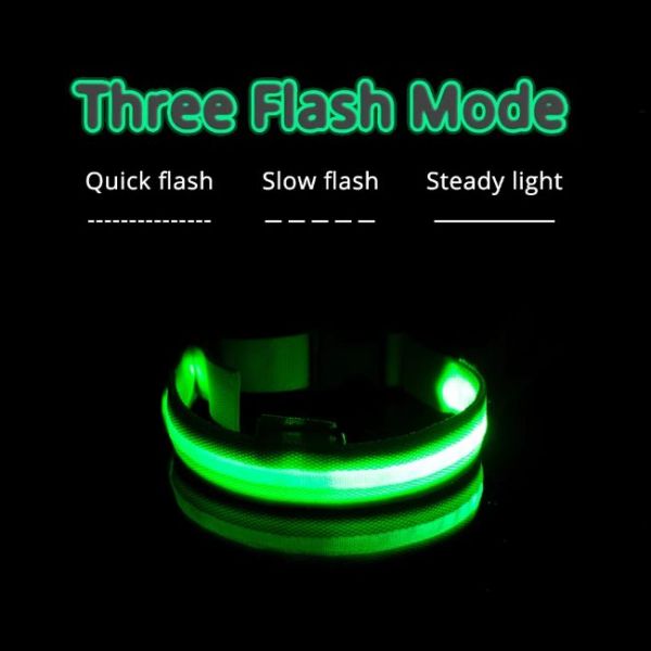 Collier de chien LED anti-perte chargé par USB avec 3 modes de clignotement