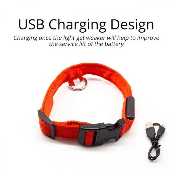 Collier de chien LED anti-perte chargé par USB