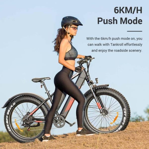 vélo électrique pas cher avec mode push 60km