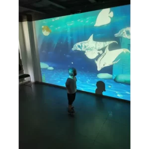 peinture numérique interactive innovante avec des poissons réalistes