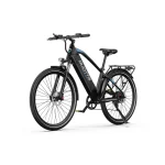 DUOTTS C29 Vélo Electrique