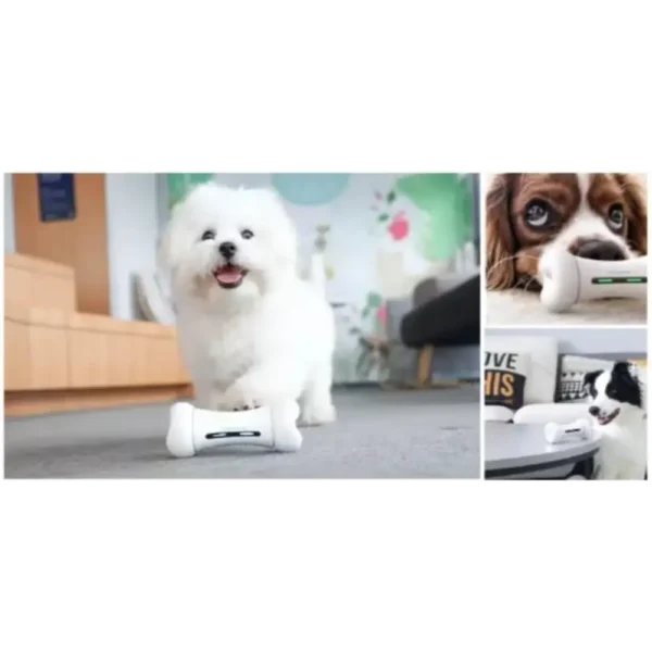 le meilleur jouet robot pour chien