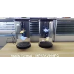 Cylindre Holographique 3D – Holotube – Image 3