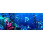 3D Système Holographique Interactif pour l' Ιntérieur – Image 8