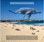 Lunettes de Réalité Augmentée avec Projecteur 3D – Image 6