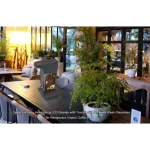 Distributeur de Désinfectant de Mains Automatique avec Affichage Numérique – Image 5