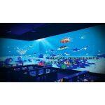 RichTech - Projection interactive au Sol et au Mur – Image 15