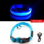 Collier LED Lumineux Pour Chiens Rechargeable par USB – Image 6