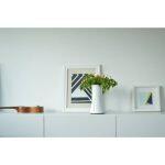 Botanium Pot de Fleur Hydroponique avec Arrosage Automatique et Cultivation sans Sol – Image 6