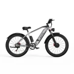 DUOTTS F26 Vélo Electrique avec Double Moteurs de 750 watts