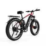 DUOTTS F26 Vélo Electrique avec Double Moteurs de 750 watts – Image 3