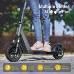 ELEGLIDE Coozy Trottinette Électrique Pliante avec Affichage Numérique LED (350W) – Image 5