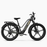 Fiido M25 Titan Vélo Electrique Cargo Robuste