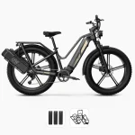 Fiido M25 Titan Vélo Electrique Cargo Robuste – Image 4
