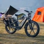 Fiido M25 Titan Vélo Electrique Cargo Robuste – Image 3