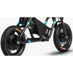 Fiido Q2 Scooter Electrique Pliable Assis pour Tout Terrain – Image 7