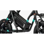 Fiido Q2 Scooter Electrique Pliable Assis pour Tout Terrain – Image 5