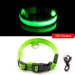 Collier LED Lumineux Pour Chiens Rechargeable par USB – Image 7