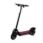 Hi-Flying L002 Scooter Électrique Pliant avec 2 Moteurs 600 W (1.200 W)