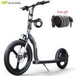 Hi-Flying H100 Scooter Électrique Pliant avec Grande Roue – Image 11