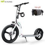 Hi-Flying H100 Scooter Électrique Pliant avec Grande Roue – Image 8