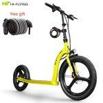 Hi-Flying H100 Scooter Électrique Pliant avec Grande Roue – Image 7