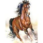 5d Kit de Dessin Diamant – Animaux – Image 9