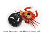 rc insects controller