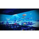 Defi - Projection Interactive au Sol et au Mur – Image 11