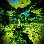 3D Système Holographique Interactif pour l' Ιntérieur