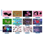 Système Ιnteractif de Projection Murale et au Sol en 3D avec de Nombreux Jeux – Image 13