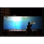 Film Tactile Interactif – Image 5