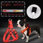 Laisse Lumineuse LED pour Chiens qui se Recharge par USB