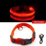 Collier LED Lumineux Pour Chiens Rechargeable par USB – Image 8
