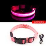 Collier LED Lumineux Pour Chiens Rechargeable par USB – Image 9
