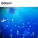 Mer Réaliste - Peinture Numérique Interactive pour Enfants – Gooest – Image 3