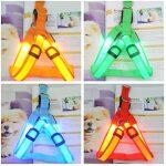 Laisse Lumineuse LED pour Chiens qui se Recharge par USB – Image 3