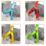 Laisse Lumineuse LED pour Chiens qui se Recharge par USB – Image 2