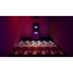 Système Interactif avec Jeux de Sport Tout-En-Un – Image 2