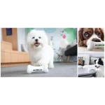 Wickedbone Jouet Intelligent et Interactif pour Animaux de Compagnie – Image 3