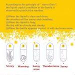 Bouteille en cristal de Prévision Météorologique avec de Lumière LED Colorée – Image 7