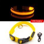 Collier LED Lumineux Pour Chiens Rechargeable par USB – Image 10