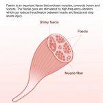 Yunmai Pistolet de Massage Intelligent pour le Soulagement de la Douleur et la Relaxation Musculaire – Image 9