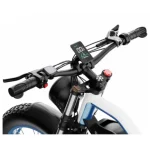 electric bike with a full suspension system