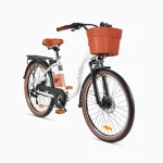 electric bike with a sturdy build