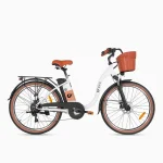 a practical electric bike