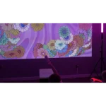 Roomie can be used for education and entertainment