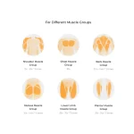 massage gun for different muscle groups