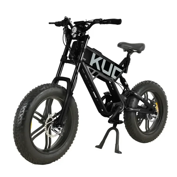 electric bike for various terrains